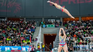grand prix della ginnastica 0259 sfe04743 copia simone ferraro ph